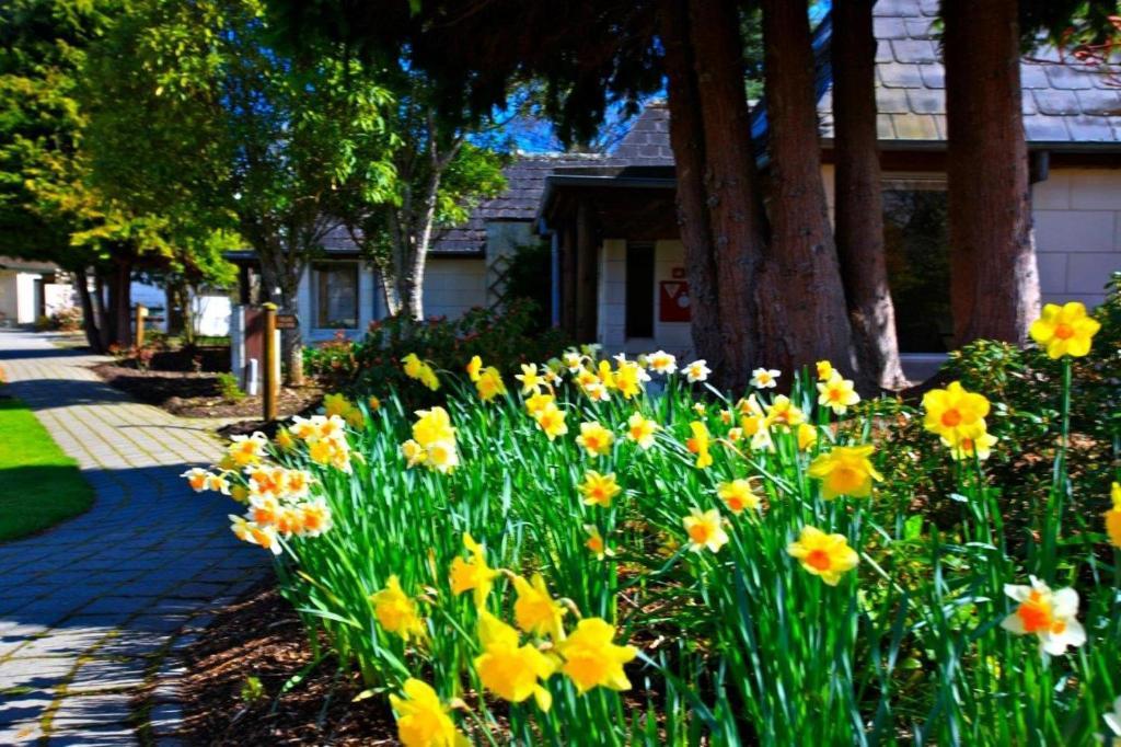 Distinction Te Anau Hotel & Villas Kültér fotó